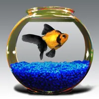 Goldfish Aquarium icon