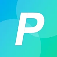 PcAnyPro icon