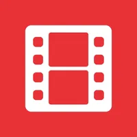 DS video icon