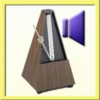 Voice Metronome icon