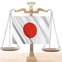 Japan Constitution icon