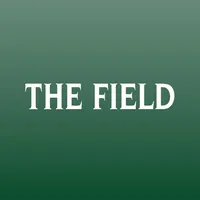 The Field Magazine INT icon