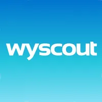 Wyscout icon