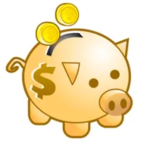 Daily Money icon