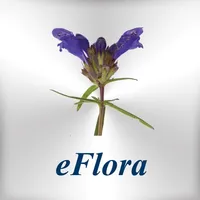 eFlora icon