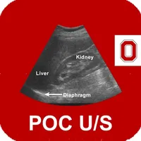 POC Ultrasound Guide icon