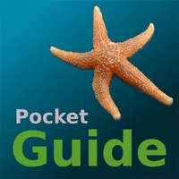 Pocket Guide UK Seashore icon