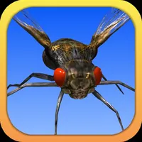 Angry Flies icon