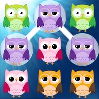 Swipe Owls icon