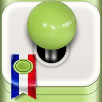 Learn French with Lingo Arcade icon