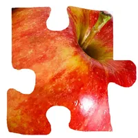 Photo JigSaw Puzzle Free Version icon