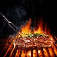 Boss Smokeit Grill Recipes icon