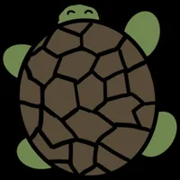 Turtle Run Game! icon