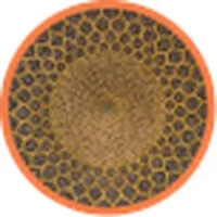 Digital Tasbeeh App icon