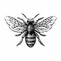 Buckbee Shop icon