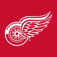 Detroit Red Wings icon