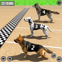 Dog Racing Game - Dog Games icon