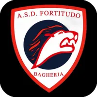 Fortitudo Card icon