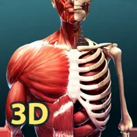 人体解剖学 3D icon