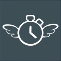 Flyback Timer icon