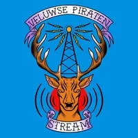 Veluwse Piraten Stream icon