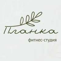 Фитнес-студия Планка icon