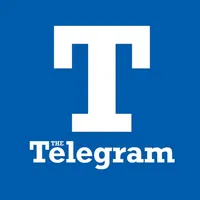 The Telegram icon