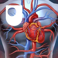 Human Heart icon