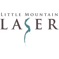 Little Mt Laser icon