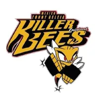 Killer Bees Timer icon