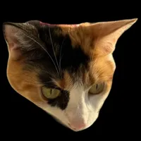 Angry Nala icon