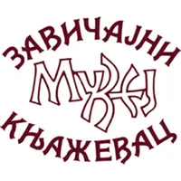 Zavicajni muzej Knjazevac icon