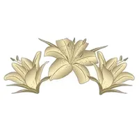 Lilies N Grace Boutique icon