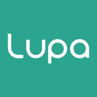 Lupa icon