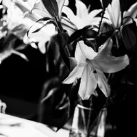 HighC high constract B&W icon