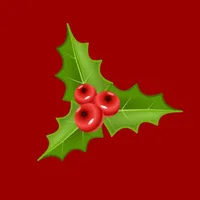 This Christmas Gift List icon