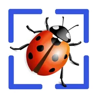 Bug Identifier App icon