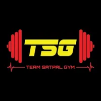 Team Satpal icon