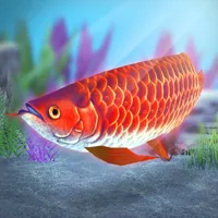 My Asian arowana Aquarium icon