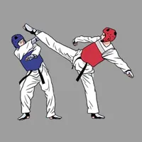 AI Taekwondo Coach icon