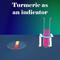 Turmeric As An Indicator icon