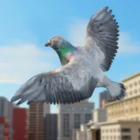 Pigeon Bird Flight Simulator icon