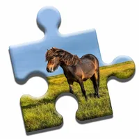 Pony Love Puzzle icon