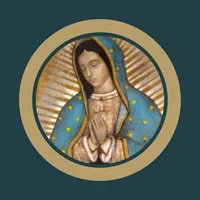 Novena Our Lady of Guadalupe icon