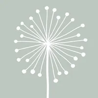 DandyLight - Photography App icon