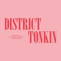 District Tonkin icon