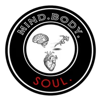 Mind Body Soul Matrix icon