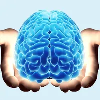 Nervous System Study Cards icon