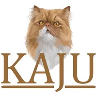 Kajuteks icon