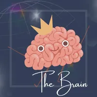 Brain World Cup icon